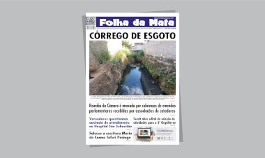 Folha da Mata 3107 - 04/06/2024