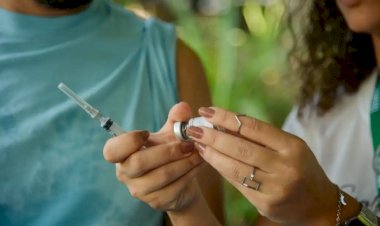 Campanha de vacinação contra a gripe em Coimbra acontece nesta sexta-feira