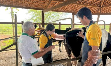 Faemg/Senar atualiza agenda de cursos gratuitos na Zona da Mata