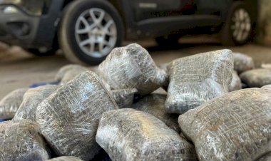 Polícia Civil apreende 40 quilos de maconha em Juiz de Fora
