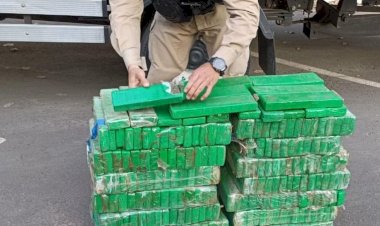 Polícia apreende mais de 230 barras de maconha em Ubá