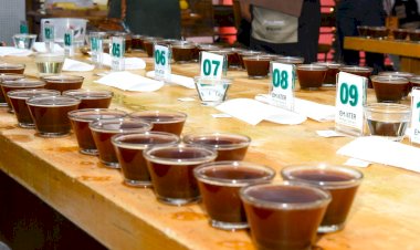 Inscrições abertas para o 20º Concurso de Cafés de Qualidade da Região de Viçosa