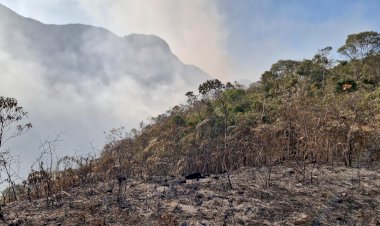 Incêndios atingem milhares de hectares em parques de Minas Gerais