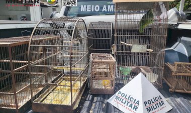 Morador de Ervália é multado em quase R$ 20 mil por manter animais silvestres em cativeiro