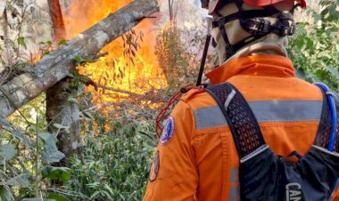 Fogo persiste em ao menos sete áreas de preservação de MG