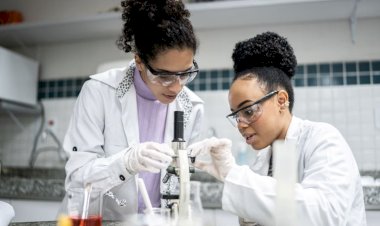 Prêmio Mulheres e Ciência vai homenagear pesquisadoras de destaque
