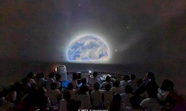 Feira de Ciências da UFV reúne mais de 300 estudantes da região