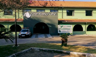 Cafeicultura: palestras gratuitas acontecem neste sábado em Viçosa