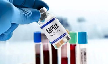 Brasil contabiliza 1,5 mil casos de mpox em 2024