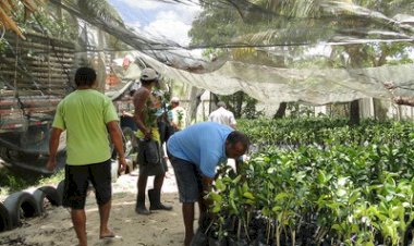 Abertas inscrições para curso de Educação Étnico-Racial e Quilombola