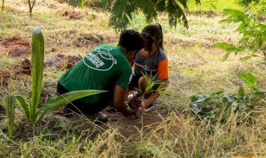 Isaviçosa promove mutirão de plantio no Parque do Cristo
