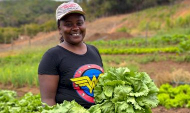 Renda da agricultura familiar em Minas cresce após vendas para merendas escolares
