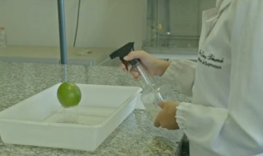 UFV e UFSJ desenvolvem tecnologia para preservar frutas e reduzir perdas