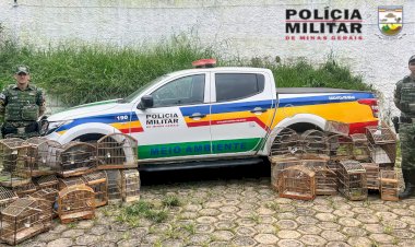 Polícia apreende 30 pássaros silvestres mantidos em cativeiro em Viçosa
