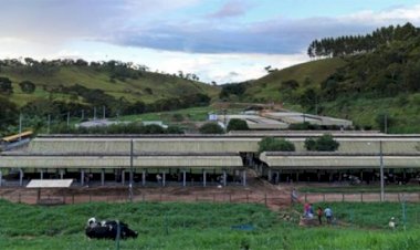 Programa da UFV vai promover plantio de mudas com a comunidade