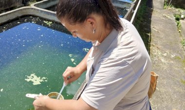 Prefeitura de Viçosa intensifica ações de combate ao Aedes aegypti