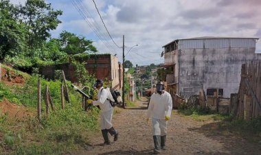 Prefeitura combate Aedes aegypti com aplicação de inseticida