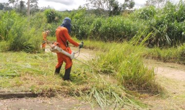 Capina mecanizada do Saae segue até o bairro Paraíso