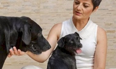 Marly da Causa Animal destina R$ 100 mil a saúde mental de protetores