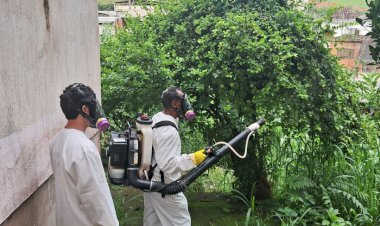 Viçosa registra seis novos casos de Dengue