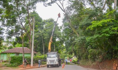 Trevo do Acamari recebe ação preventiva de corte de árvores