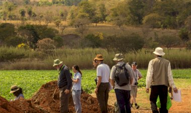 UFV é sede de Instituto Nacional de Ciência e Tecnologia sobre solos do Brasil