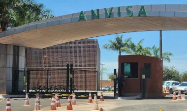 Anvisa aprova vacina contra chikungunya