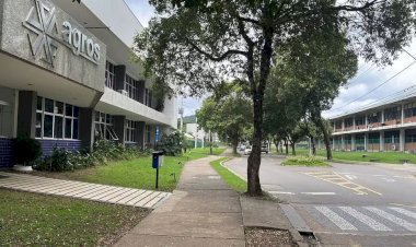Universitária morre após ser atropelada na UFV