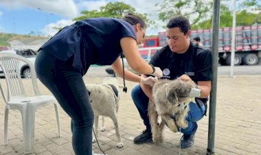 PMV lança projeto de suporte psicológico para protetores de animais