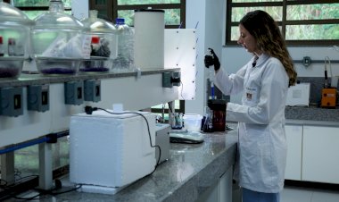 Pesquisa da UFV inova produção de hidrogênio verde utilizando nióbio