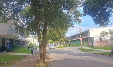 Homem acusado de atropelar e matar estudante na UFV é preso