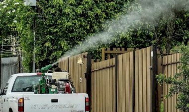 Coimbra inicia aplicação de fumacê contra o mosquito da dengue