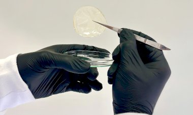 Pesquisadores da UFV criam curativo biodegradável para tratamento de feridas