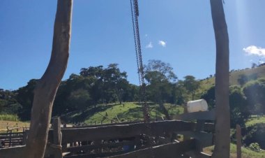 Polícia multa fazenda por abatedouro ilegal e clandestino em Viçosa