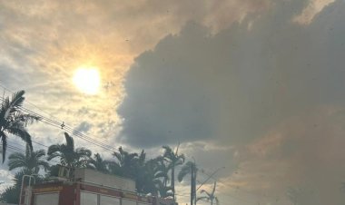 Incêndio de grandes proporções atinge mata no bairro Santo Antônio, em Viçosa