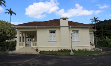 Pinacoteca da UFV promove atividades para crianças neste domingo