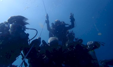 UFV tem unidade de mergulho científico e integra pesquisadores há 13 anos