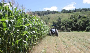 PVM abre inscrições para Programa de Mecanização Agrícola