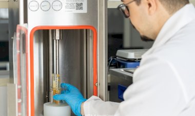 UFV desenvolve tecnologia que melhora substituto vegano do ovo