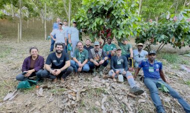 Cacauicultura cresce em Minas e Senar faz curso piloto na Zona da Mata