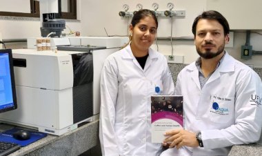 Pesquisadores da UFV participam de livro estrangeiro sobre café