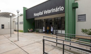 Residência em Medicina Veterinária na UFV abre inscrições