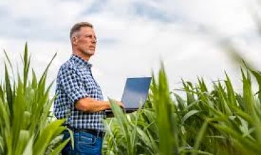 Secretaria de Agropecuária divulga dicas de segurança cibernética para agronegócio