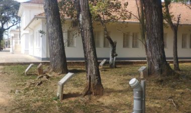 UFV instala comedouros para animais que vivem no campus