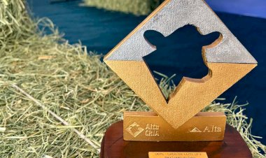 Projeto da UFV vence prêmio nacional na área do Gado de Leite