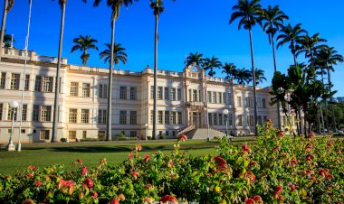 UFV aprova criação de três novos cursos