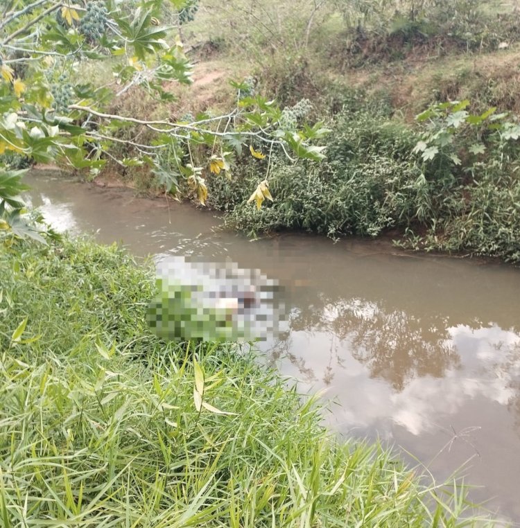 Morador de Ervália é encontrado morto após sete dias desaparecido