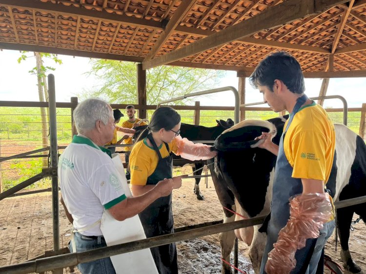 Faemg/Senar atualiza agenda de cursos gratuitos na Zona da Mata
