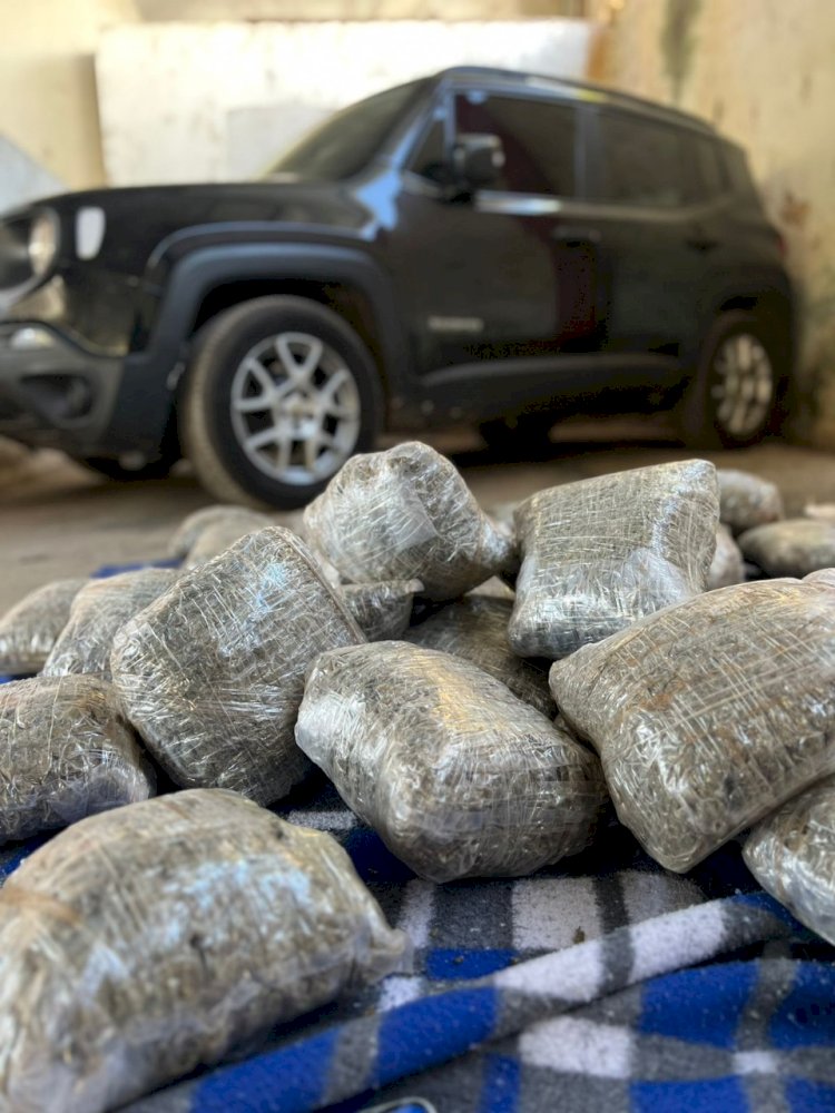 Polícia Civil apreende 40 quilos de maconha em Juiz de Fora