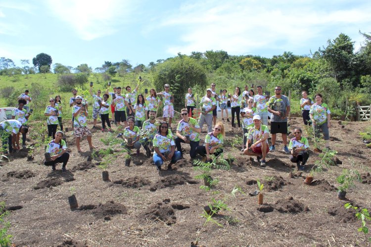 Ecofolia 2025 abre inscrições para voluntários